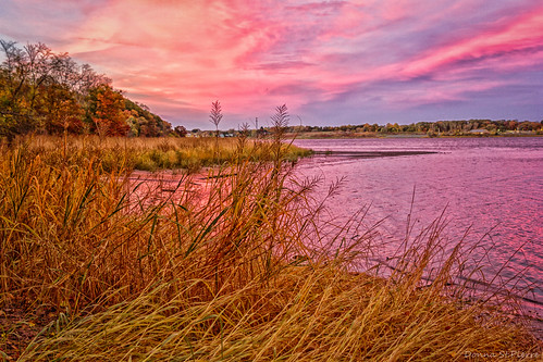 travel autumn trees color tourism water grass river newengland sunsets providence rhodeisland traveling skys travelphotography reflectons seekonkriver