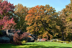 New York Botanical Garden