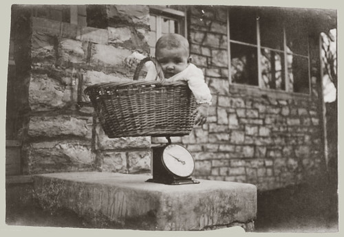 Baby in a Basket