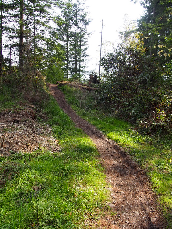 Green-to-Cedar Rivers Trail Extension: The trail right of way continues like this.