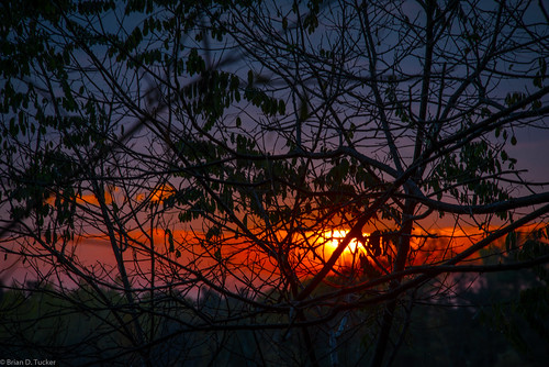 morning autumn fall leaves silhouette sunrise dawn morninglight october greenwood hike 2015 d610 blacklocust greenwoodconservationarea briandtucker october2015