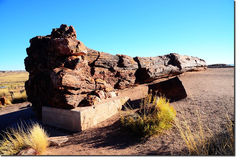 Old Faithful at Giant Logs Trail, Petrified Forest National Park