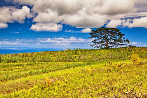 2011 akakafallsstateparks background collection flickr hawaii hilo landscape usa website frame show viewbook pepeekeo unitedstates
