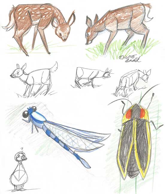 8.5.14 - Maine Wildlife Park Sketches