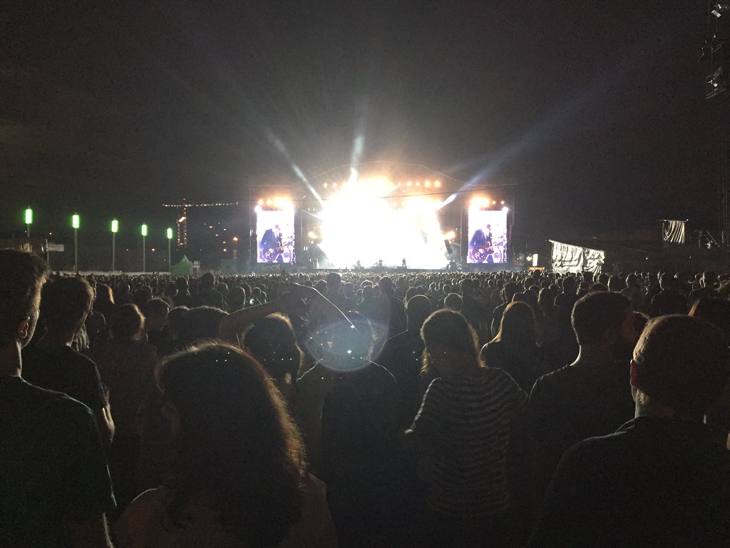 Rock en Seine festival 2015, The Libertines