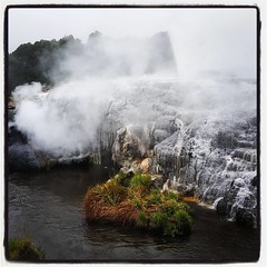 Te Puia #geyser #rotorua #thermal