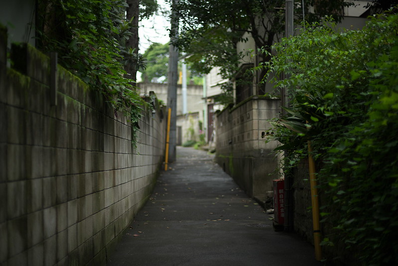 東京路地裏散歩 谷中 2015年9月27日