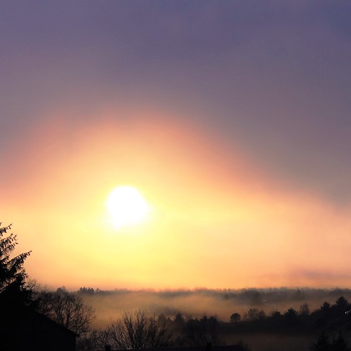 trees sunset sun mist fog square landscape artistic fineart glorious endings