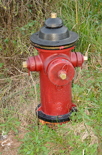 hydrant firehydrant orange texas