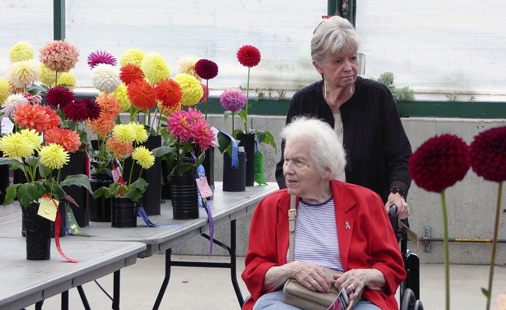 Two women, one pushing the other in a wheelchair, inspect the dahlia flowers on display at Sky Nursery. 