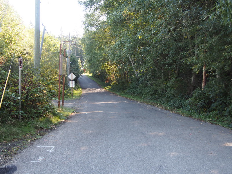 96th Street: The original end of the Cushman Powerline Trail.