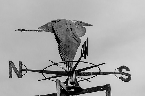 sculpture bird art heron metal wind cut weld toledo newport oregoncoast plasma weathervane vane greatblueheron