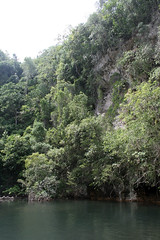 32 - Los Haitises national park / Los Haitises Nationalpark