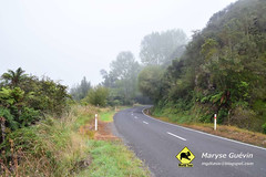 Forgetten road Nouvelle-Zélande