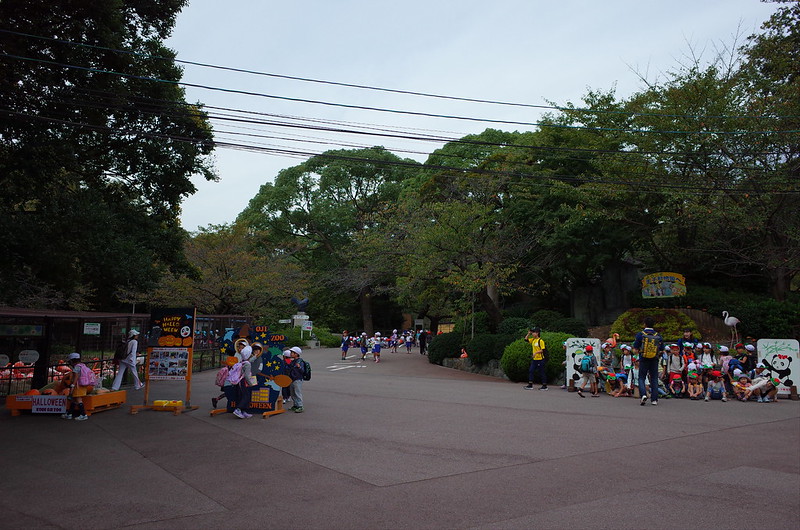 神戸王子動物園