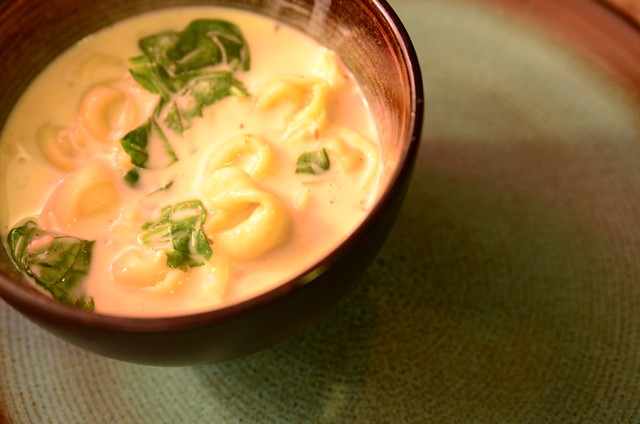 ten soups project: creamy tortellini soup