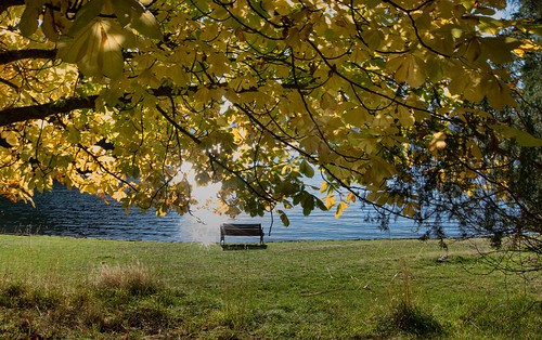 autumn sunlight canada leaves bench pentax britishcolumbia fallcolors pacificocean gulfislands westcoast penderisland northpenderisland cans2s benchmonday pentaxk5 penderislandsmuseum