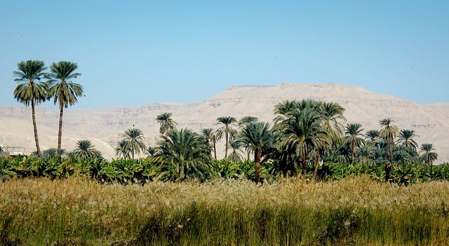 Luxor West Bank