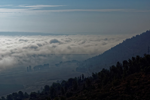 morning travel fog clouds forest israel minolta sony northofisrael minolta2485mm sonya77