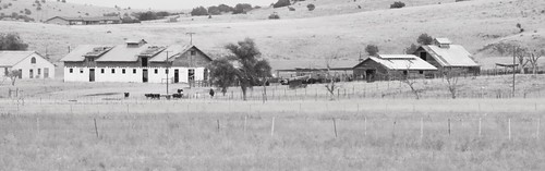 barn paulden arizona farm ranch blackwhite