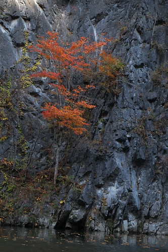 autumn japan koyo geibikei geibikeigorge