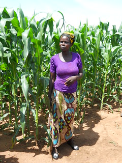 Farmer Agness Phiri has had first experience with herbicides forweed control and highlighted great labour savings for weeding for women and children when applying such products Photo credit: Christian Thierfelder/CIMMYT