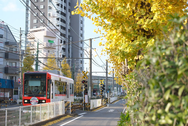 Tokyo Train Story 都電荒川線 2015年12月12日