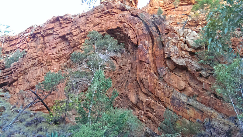 Section 9 geography - Larapinta Trail