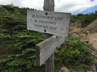Mt. Eisenhower Hike