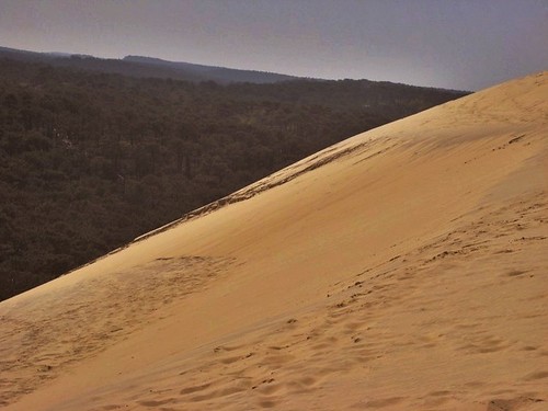 Dune du Pilat - Brouillard