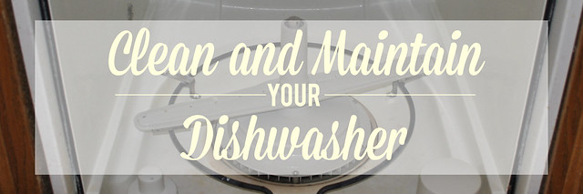 clean and maintain your dishwasher