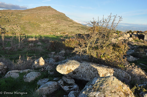 cararzuiddia bortigali dolmen civiltànuragica sardegna archeologiasarda sitiarcheologicisardi sardinia donnanuragica bortigàle marghine