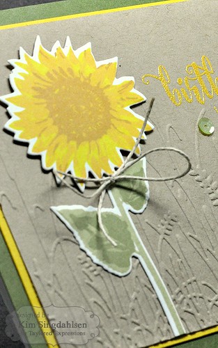 TE Sunflower CloseUp