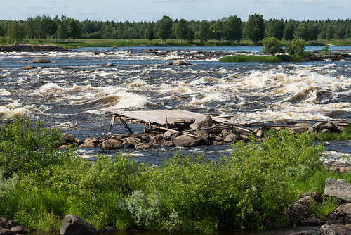 summer sunshine suomi finland river afternoon riverside daytime joki auringonpaiste tornionjoki ylitornio kukkolankoski iltapäivä joenvarsi nikond610 annekaihola