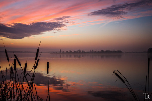 morning misty sunrise river landscape dawn nebel havel morgendämmerung werderhavel canoneos500d