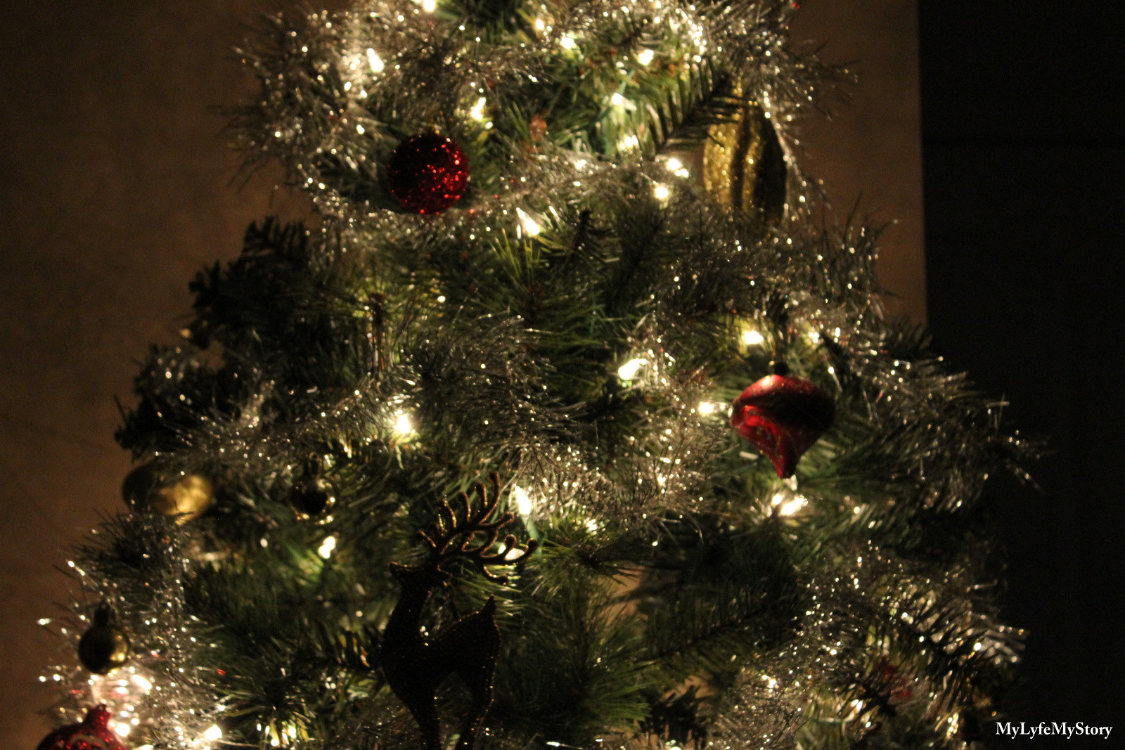 My Family Christmas Tree (14)
