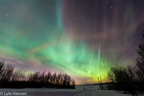 longexposure winter night stars alberta aurora northernlights 2015
