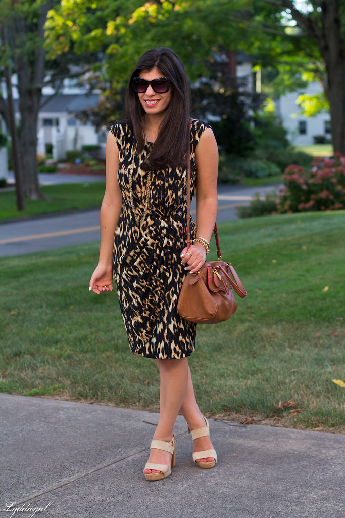 leopard dress, brown bag, platform sandals-2.jpg