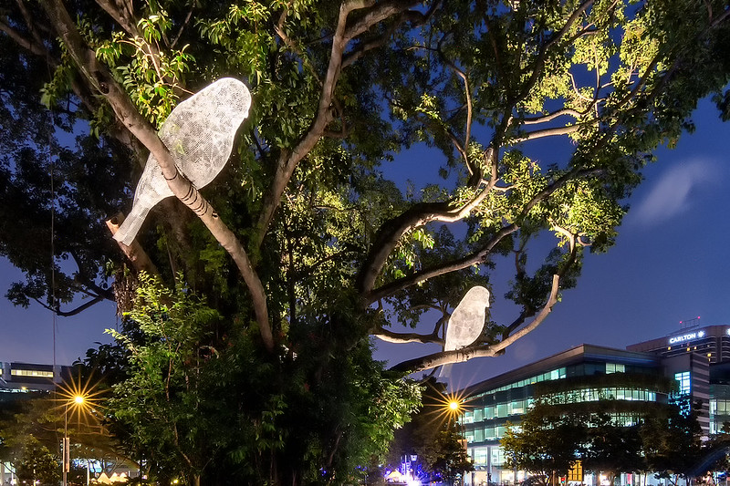Ночной фестиваль искусств. Singapore Nightfest2015. Походим вокруг.