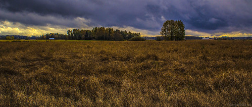 autumn trees fall nature colors weather clouds rural woodland suomi finland landscape countryside outdoor september fields kodiksami soligoraf28210mm