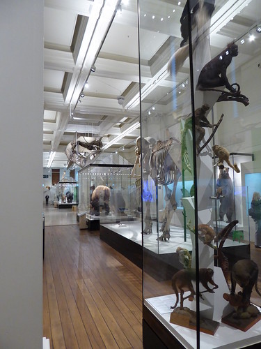 Australian Museum October 2015