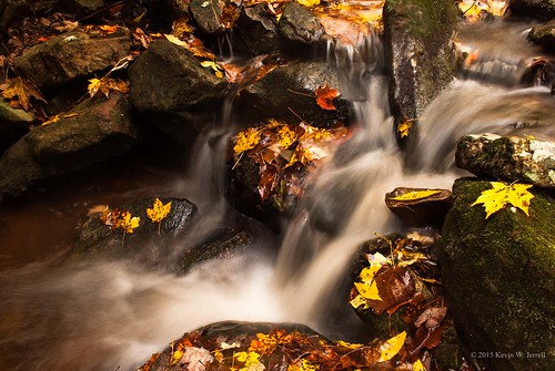 autumn fall nature leaves autumncolors streams naturalbeauty mountainstreams nikond60 whitebranch smokywater backroadphotography