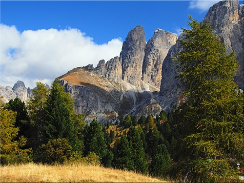 italien autumn trees italy gröden mountains alps geotagged italia herbst berge ita alpen bäume dolomites southtyrol dolomiten sellajoch südtirolaltoadige geo:lat=4651367594 geo:lon=1176486701