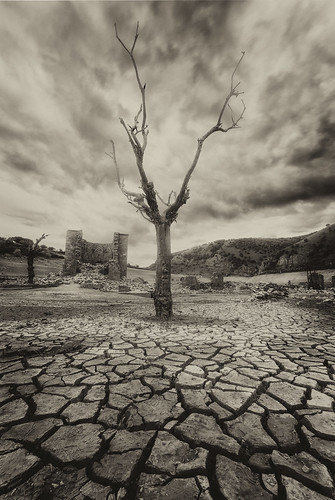 drought reservoir dry village flood autumn tree ruins abandoned