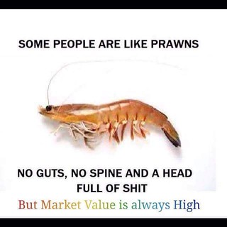 people_prawns