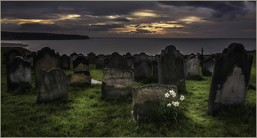 sunset sea sky water grass coast cliffs whitby lichen churchyard gravestones daffodils memorials