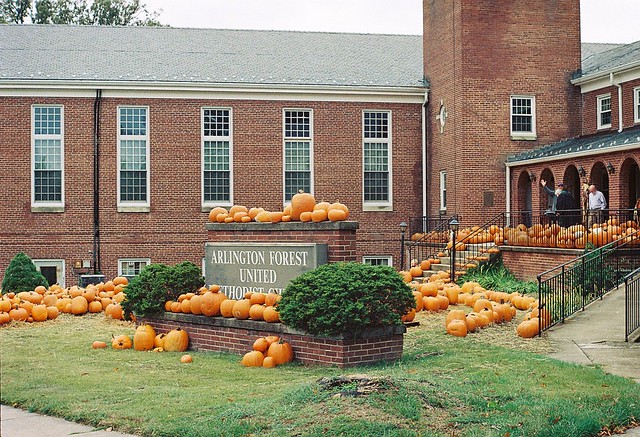 Pumpkin Sale