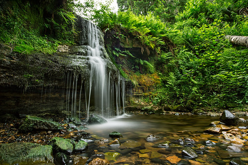canon scotland waterfall rocks stream fife sigma falkland 17mm 1735 woodlandwalk maspieden grantmorris grantmorrisphotography