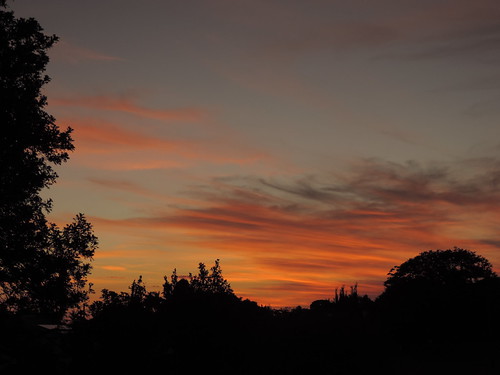 trees sunset red sky orange storm clouds twilight nikon outdoor dusk redsunset orangesunset p520
