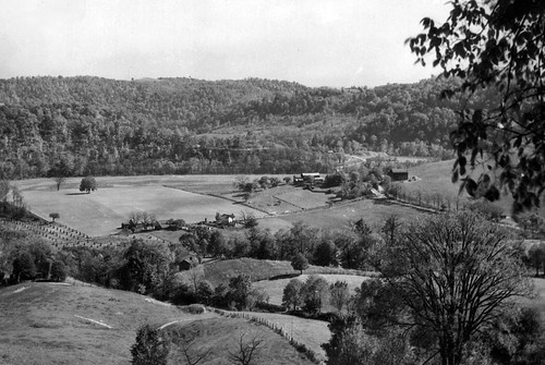 road county trees houses ohio mountains film creek forest buildings landscape washington 1930s view shocks belmont wheat barns scenic structures fences farmland hills 1940s valley land fields farms mills pleasant township residences dwellings outbuildings topography armstrongs captina ohioguide